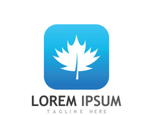 Maple leaf logo design with creative idea