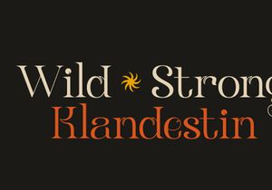Klandestin Modern & Classical Serif