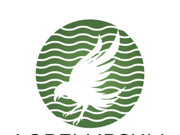 Wings logo preview picture