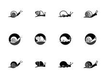 snail animal logo and symbol template