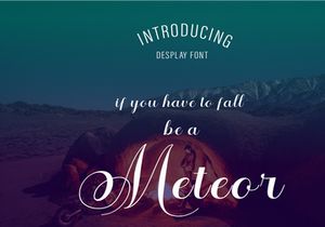 The Biggest Fonts Bundle, Different Type