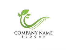 Eco Energy Vector Logo with leaf symbol. Green color with flash or thunder graphic. Nature and electricity renewable. This logo is suitable for technology, recycle, organic.