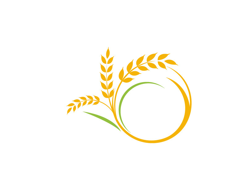 Agriculture wheat rice icon illustration