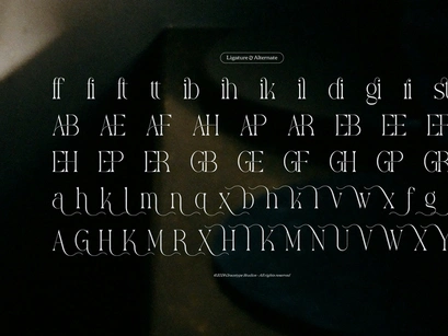 Yerindar | Modern Display Serif