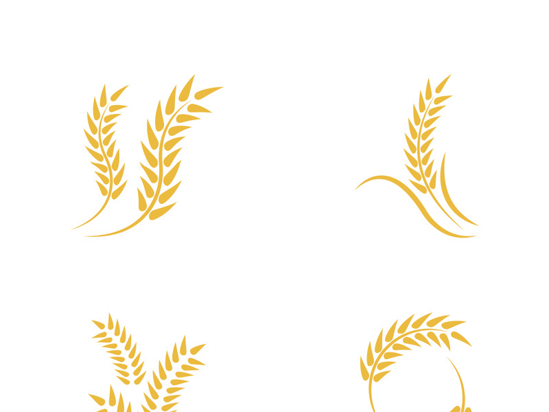 Wheat logo vector icon illustration design