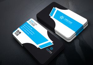 Professional Business Card