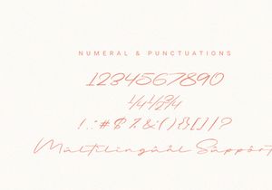 Briquete | Natural Brush Font