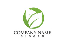 Green leaf logo Vector