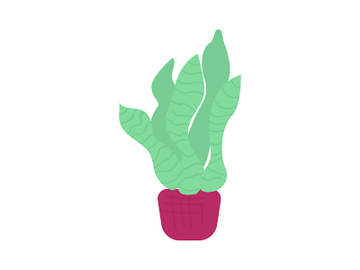 Bird nest fern plant semi flat color vector object preview picture