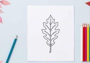 Ilustração detalhada de folha para design botânico. Elemento natural artístico para projetos ecológicos e temas de natureza.