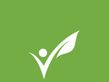 Leaf logo green nature vector image