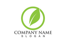 Green leaf logo Vector