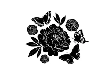 Silhouette of butterflies and flowers on white background