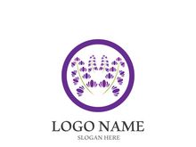 Lavender flower vector icon illustration design template