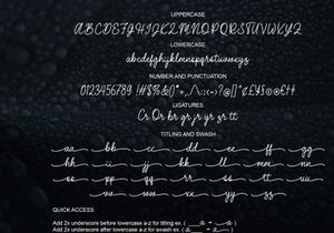 Cranslime - Script Font