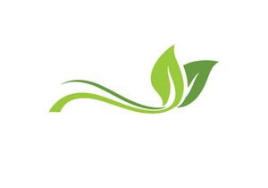 Nature leaf eco green logo icon