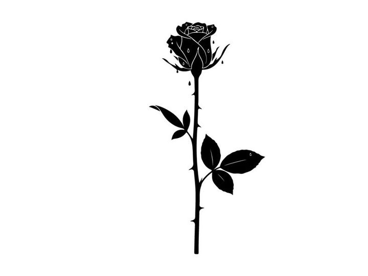 Silhouette of a single rose flower on a stem