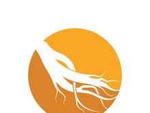 Ginseng logo design template and symbol icon vector illustration