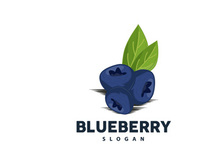 Blueberry Logo, Garden Farm Fresh Fruit Vector, Elegant Simple Design