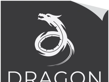 Dragon logo art illustration preview picture