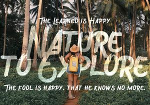 Wreckout - Decorative Brush Font