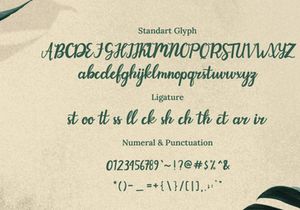 Evergarden Beautiful Script Font