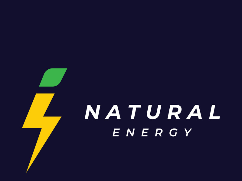 electric lightning logo, using modern vector design concept.