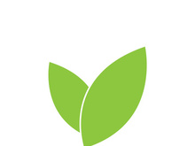 Leaf logo vector icon design template