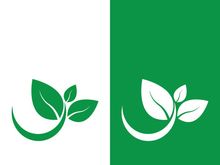 Logos of green tree leaf ecology nature element vector