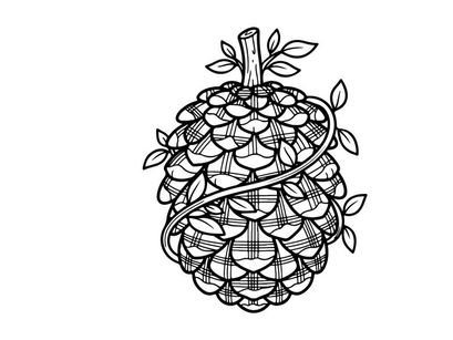 Detailed pine cone illustration for nature and botanical projects. Artistic botanical drawing of a pine cone with leaves and intricate line work.