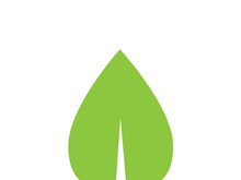 Leaf logo vector icon design template