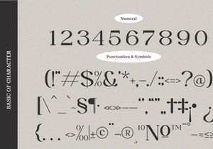 Lagoonya | Modern Stylish Serif