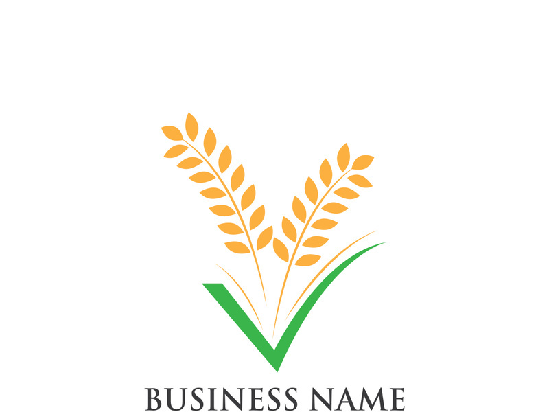 Agriculture wheat logo and symbol vector