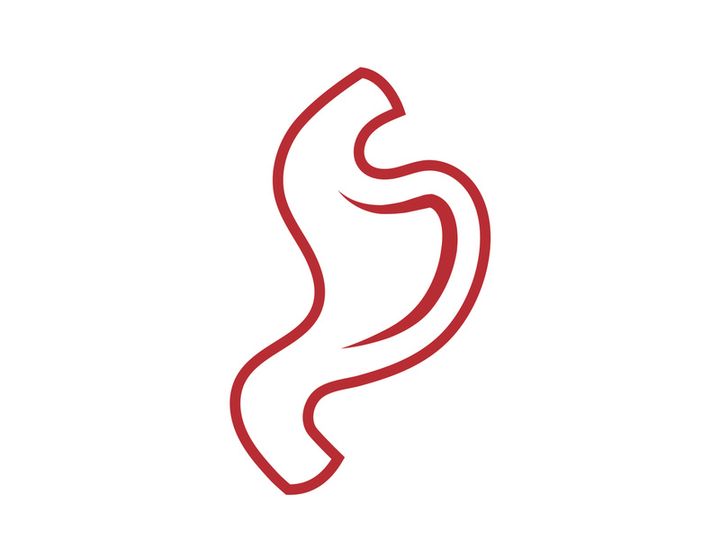 Stomach logo