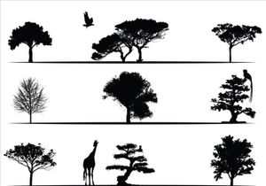 Trees Silhouettes Collection