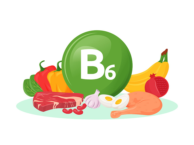 Vitamin B6 food sources cartoon vector illustration