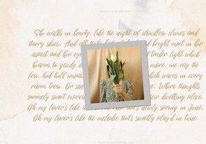Perfecta Liner - Handwritten Script