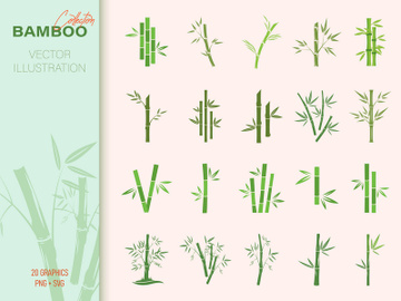 Set of bamboo leaf, panda food leaves collection. preview picture