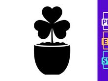 Potted Shamrock Plant