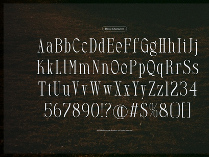 Arkvell | Modern Display Serif