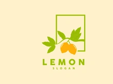 Lemon Logo, Luxurious Elegant Minimalist Design
