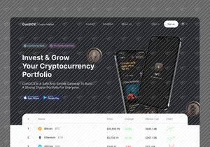 CoinDCX Web Page