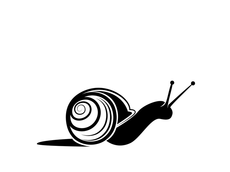 snail animal logo and symbol template