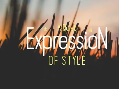 Boyanda - Modern Organic Display Font
