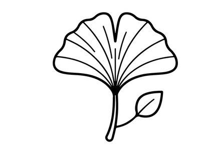 Minimalistische Liniengrafik eines Ginkgo-Blattes. Elegante botanische Illustration für Designprojekte.