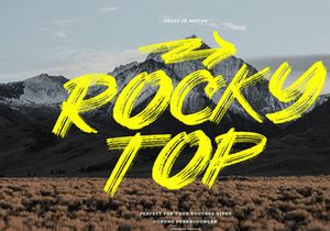 Sheep | Dry Brush Script Font