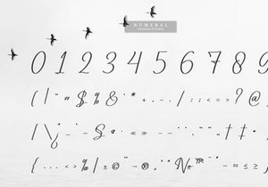Uttahime | Modern Signature Font
