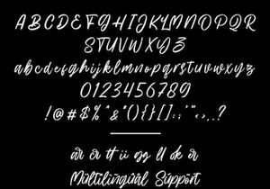 Hillbear - Handbrush Script Font