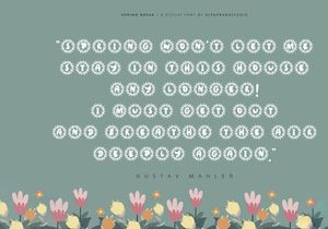 Spring Break - Decorative Display Font