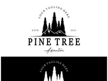 simple pine or fir tree logo,evergreen.for pine forest,adventurers,camping,nature,badges and business.vector
